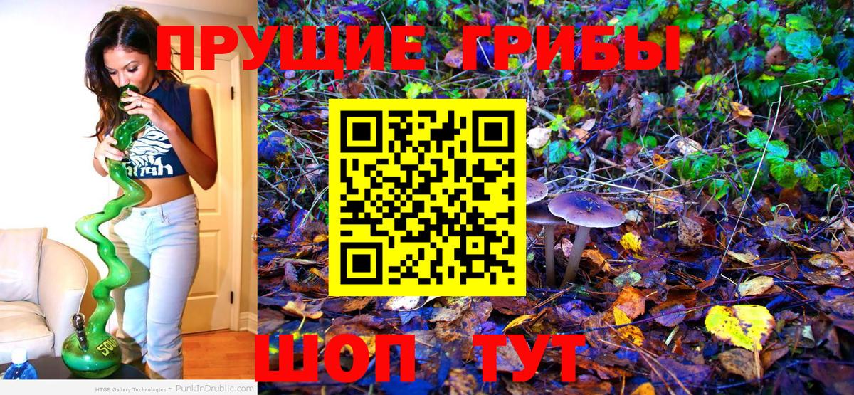Киров  Псилоцибиновые грибы мухоморы  Вход с VPN  Галлюциногенные грибы прущие грибы 