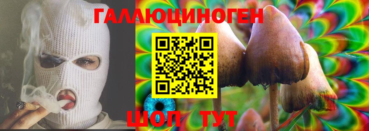 Псилоцибиновые грибы прущие грибы Киров